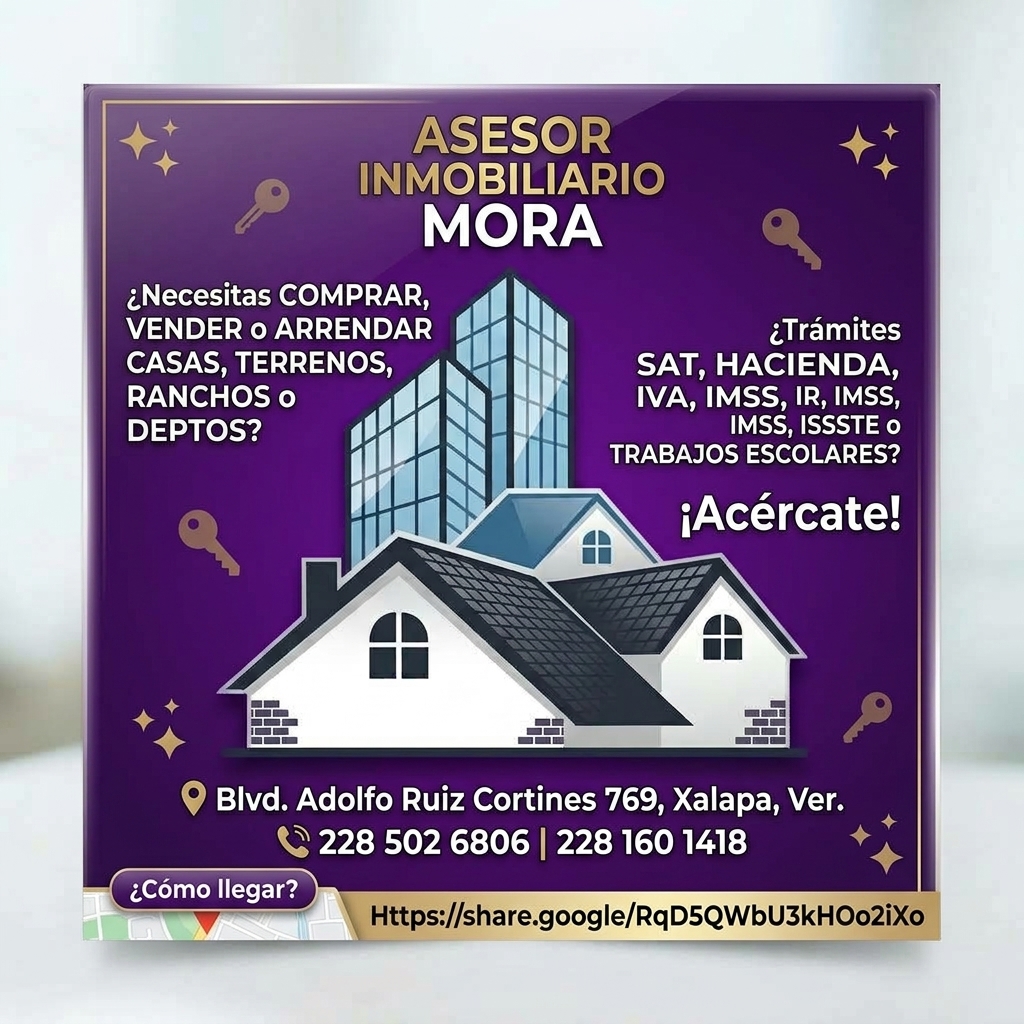 Asesor Inmobiliario Mora