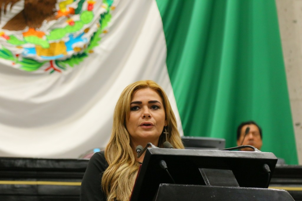 Organismos Autónomos deberán comparecer ante el Congreso: Maryjose&nbsp;Gamboa