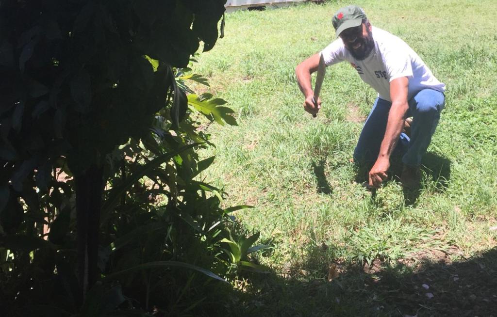 93 años, 93&nbsp;árboles