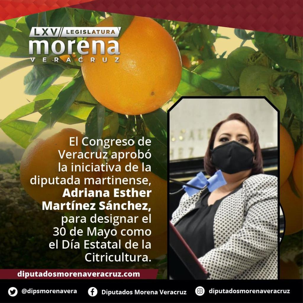 Día de la citricultura