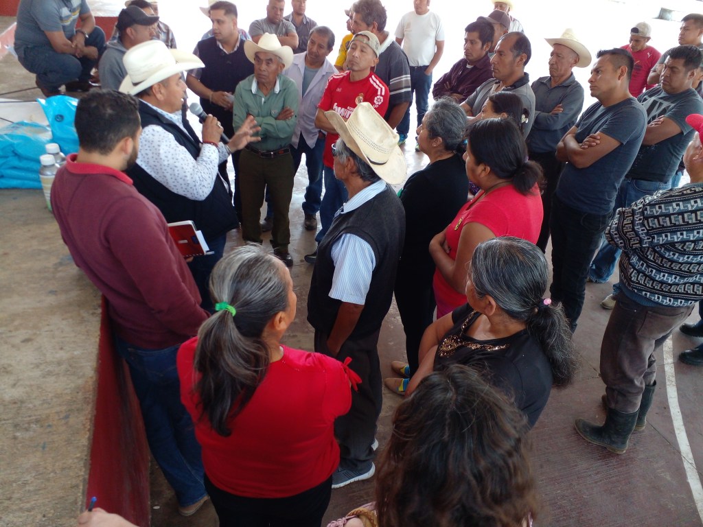 Mal tiempo afecta producción agrícola&nbsp;misanteca