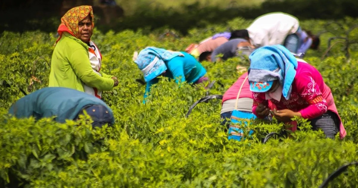 jornaleras-agricolas-queja-laboral-eu_4_crop1621298821885.jpg_578555087