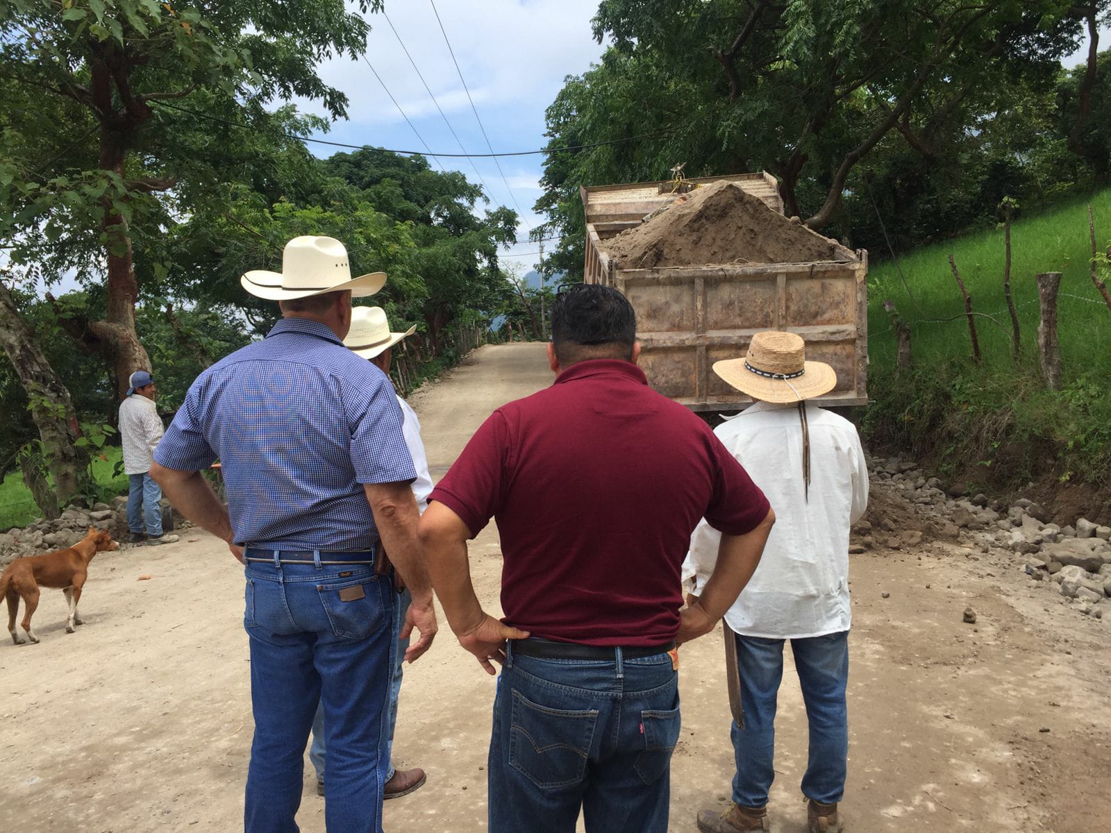 WhatsApp Image 2022-08-20 at 15.10.51