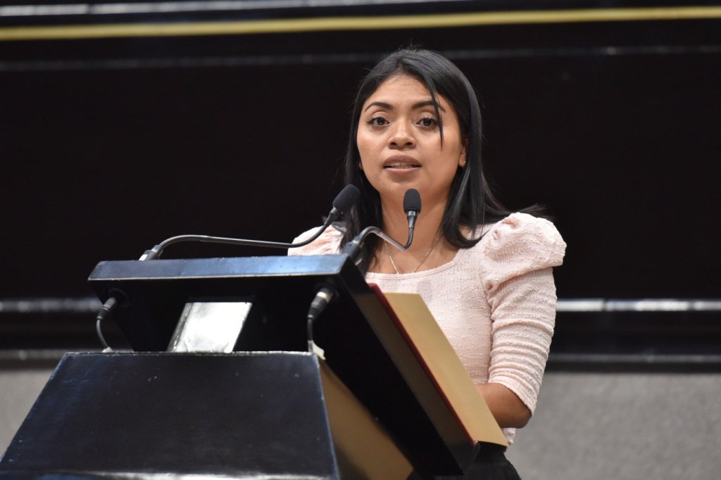 Contra el uso de la&nbsp;pirotecnia