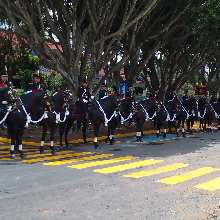 Si 100 años no es nada ¡200&nbsp;menos…!