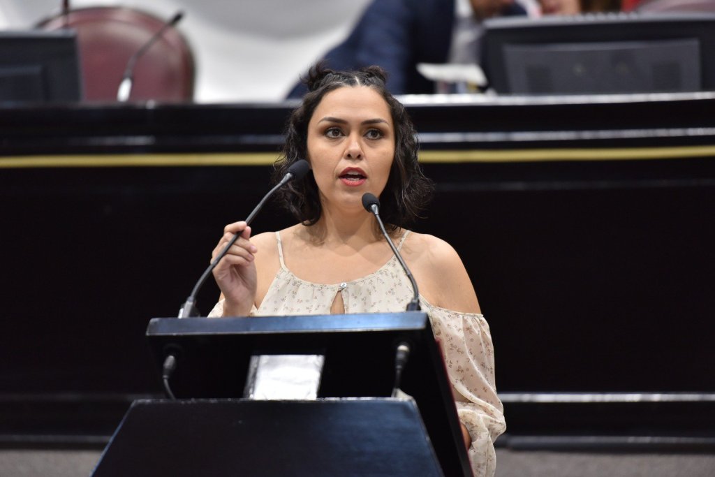 Cuidados integrales Ley para&nbsp;Veracruz