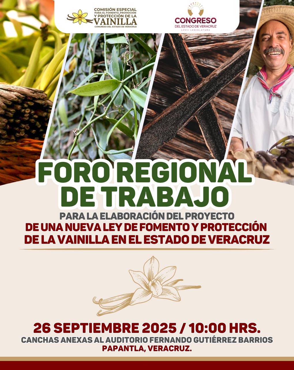 Nuevas propuestas para la ley de la vainilla en&nbsp;Veracruz