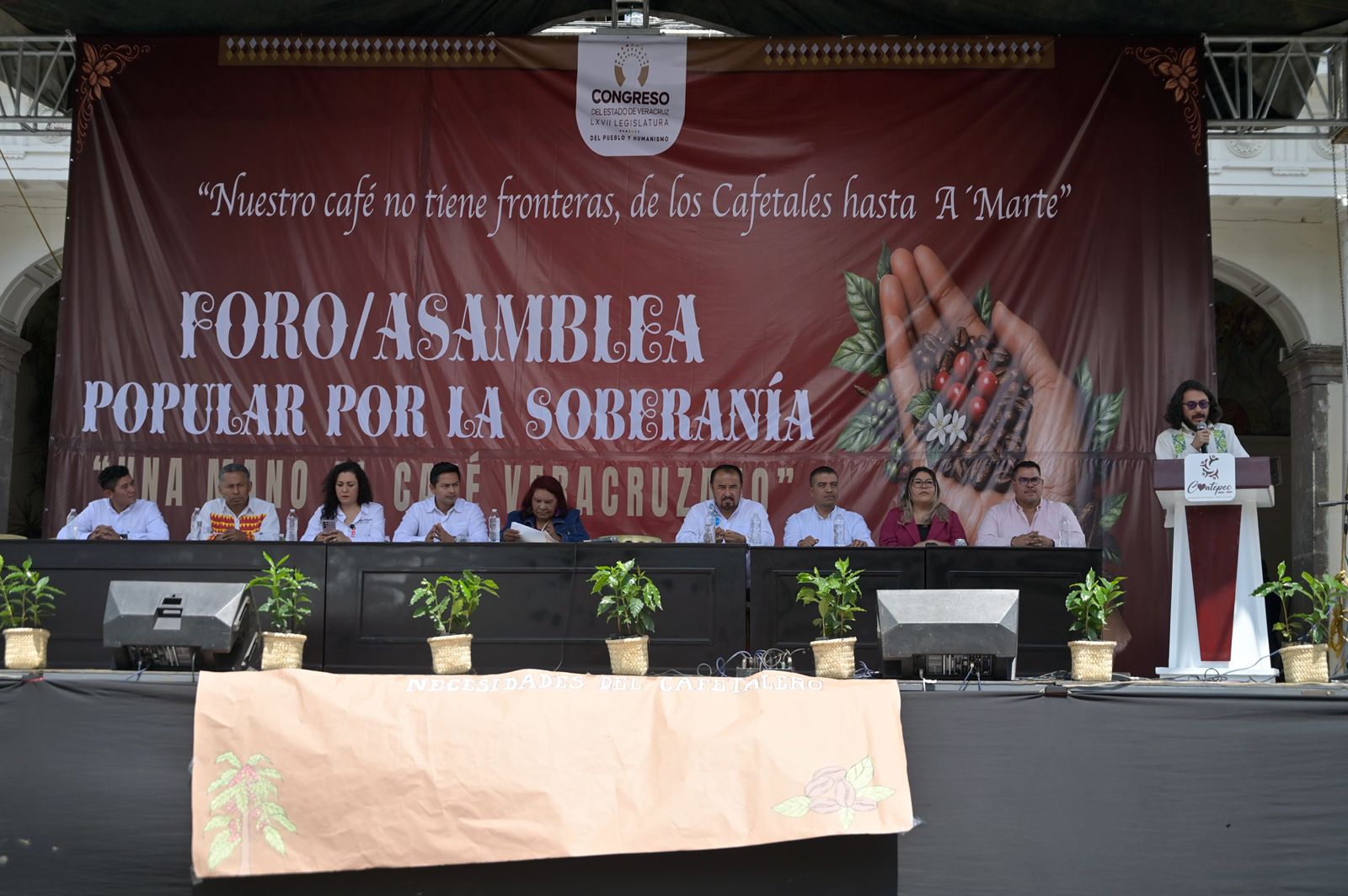 El Futuro del café veracruzano